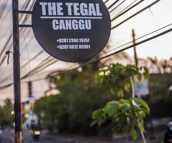 The Tegal Canggu